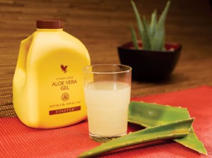 Aloe_Vera_Plant